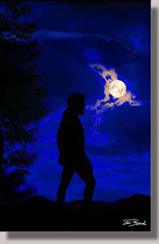 Moonshadow