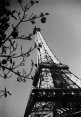 [France]